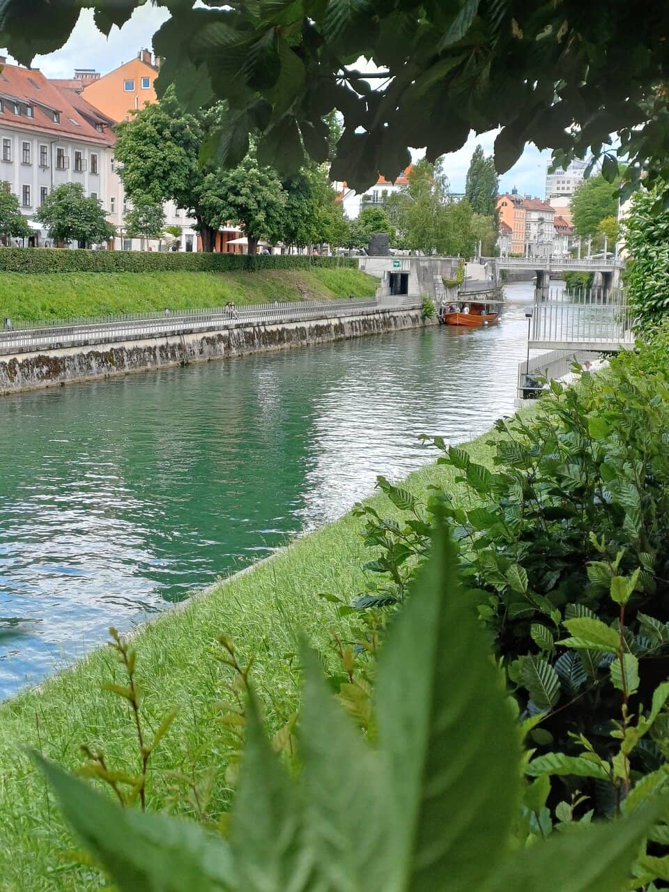 Onboard Refreshments