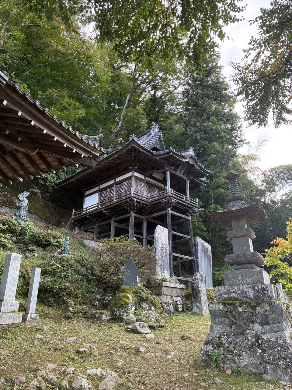 Sacred Tree & Forested Grounds
