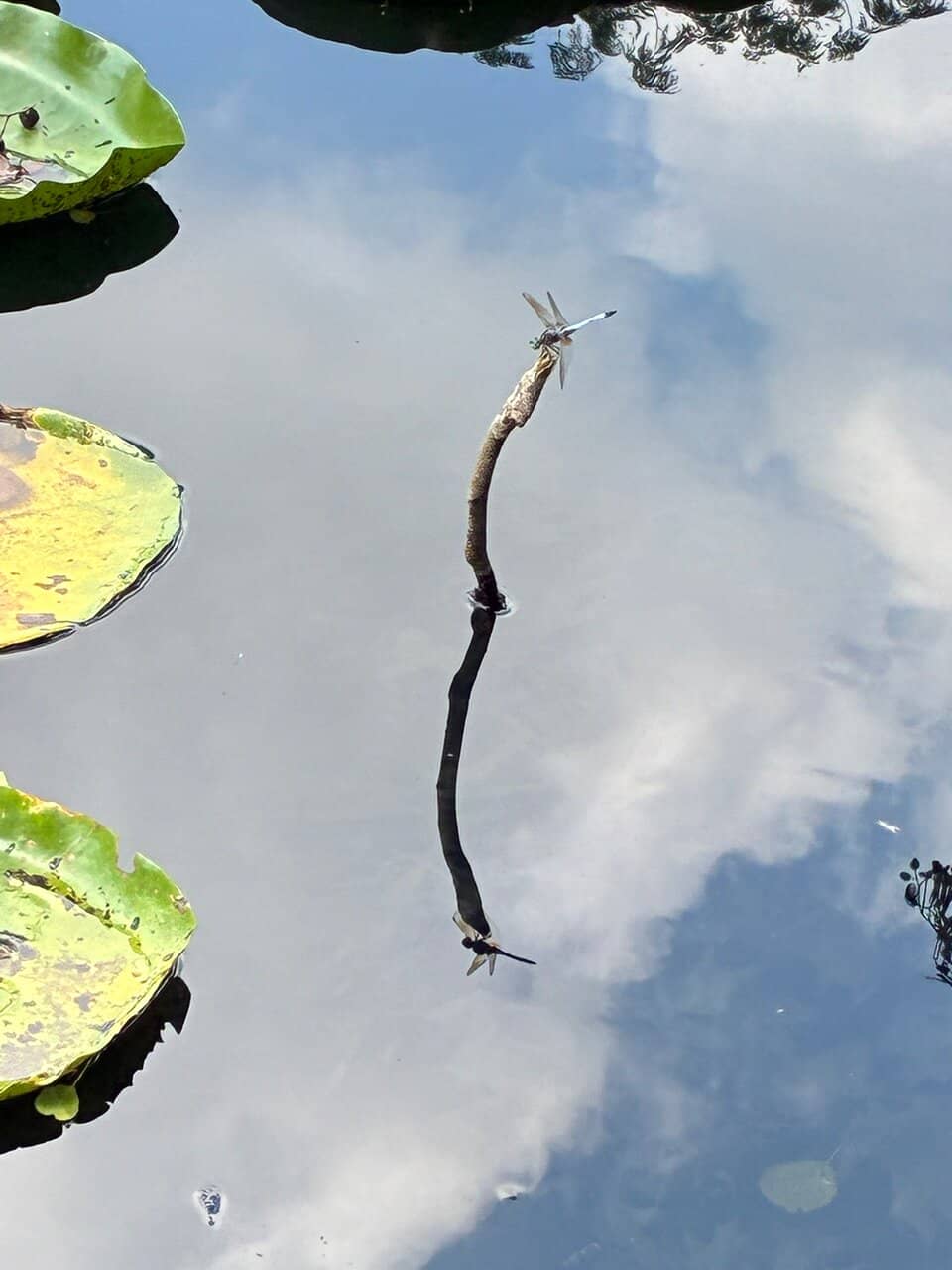 Victorian Architecture