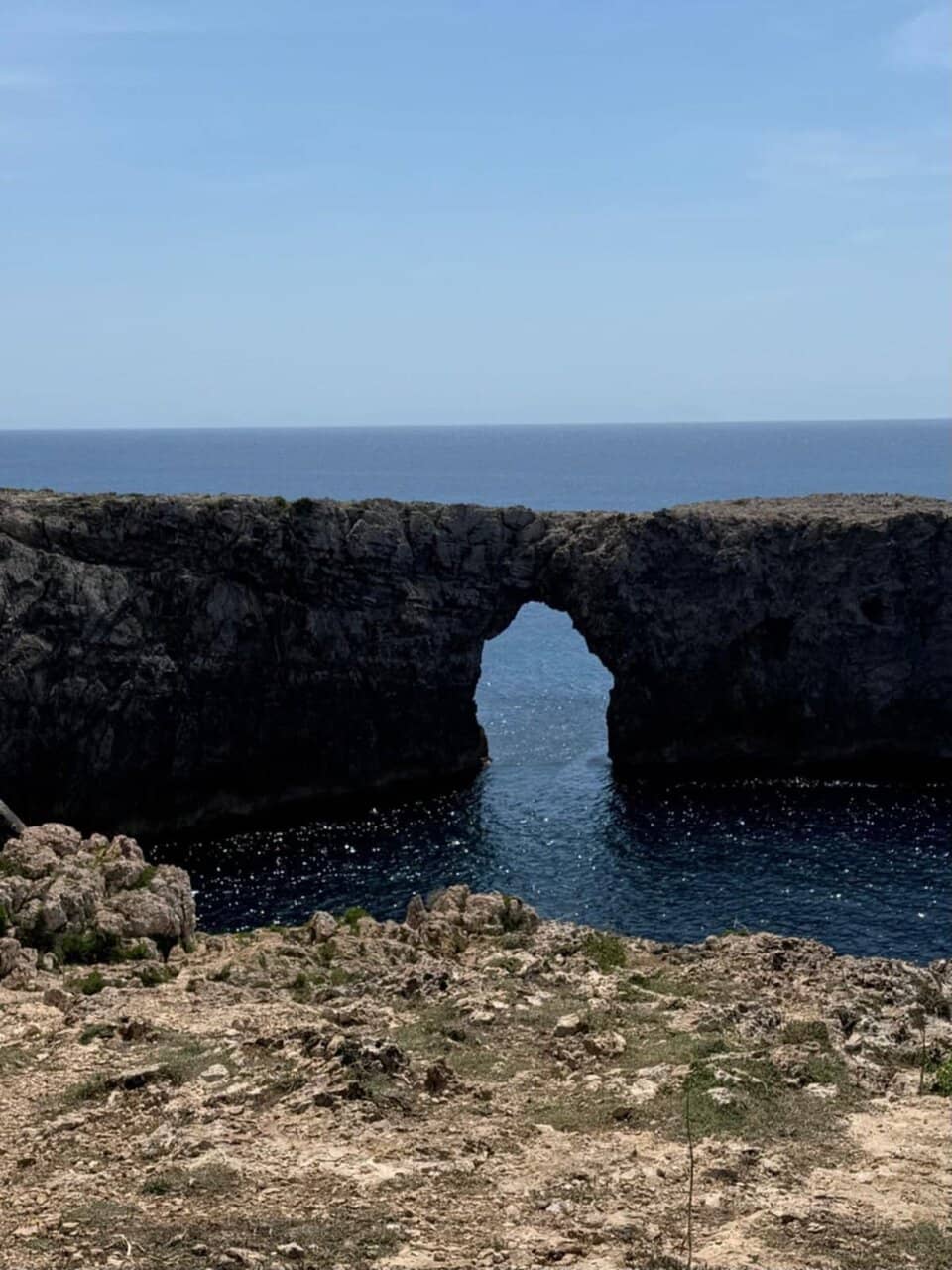 Vertical photo