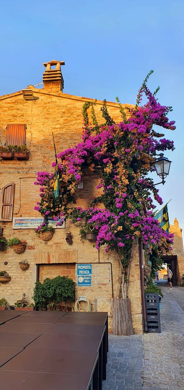 Medieval Alleys and Stone Houses