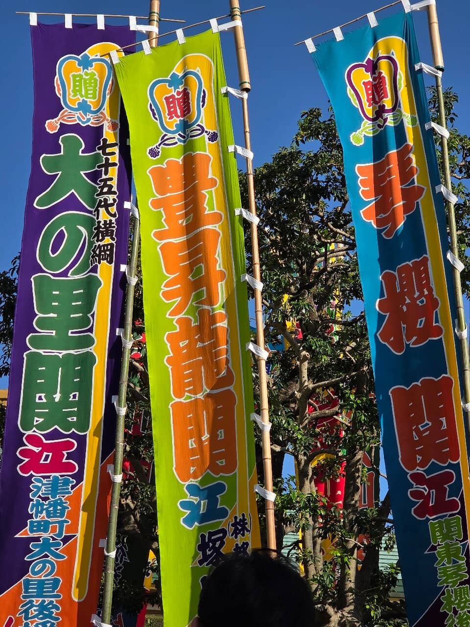 Vertical photo