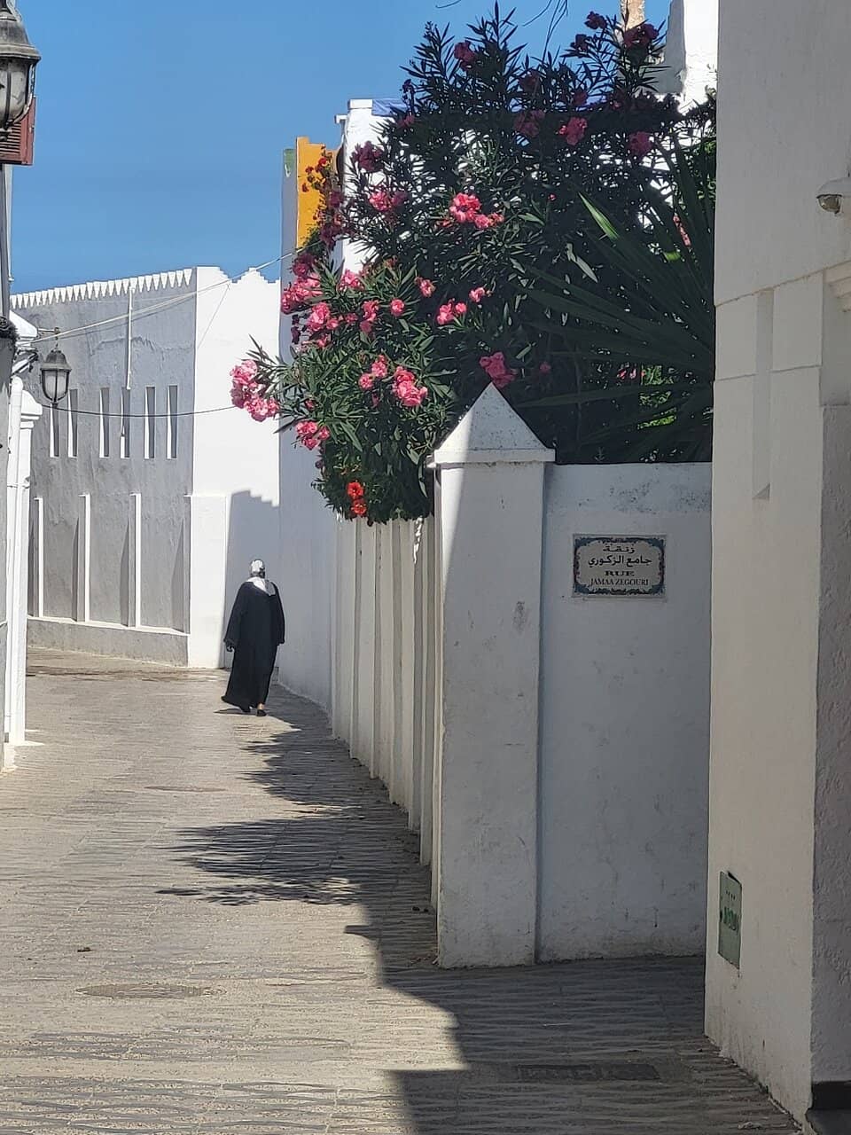 Portuguese Ramparts
