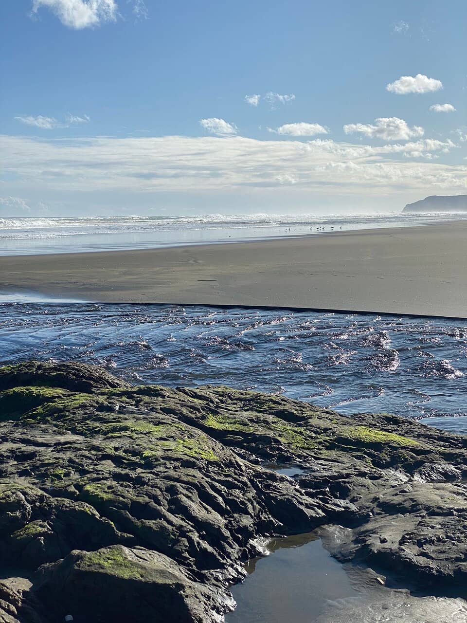 Black Sand Shores