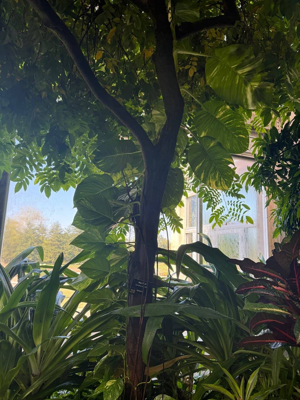 Vertical photo
