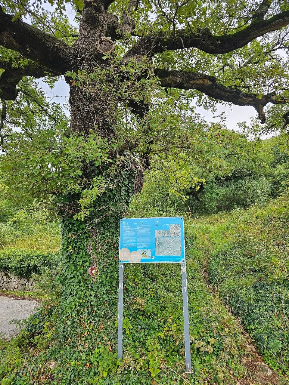 Vertical photo
