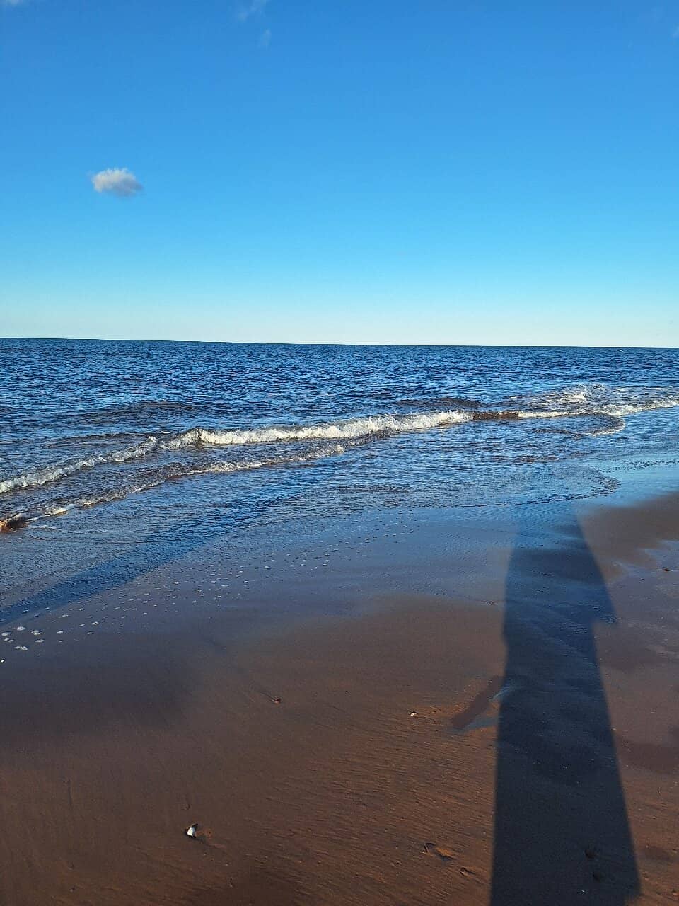 Vertical photo
