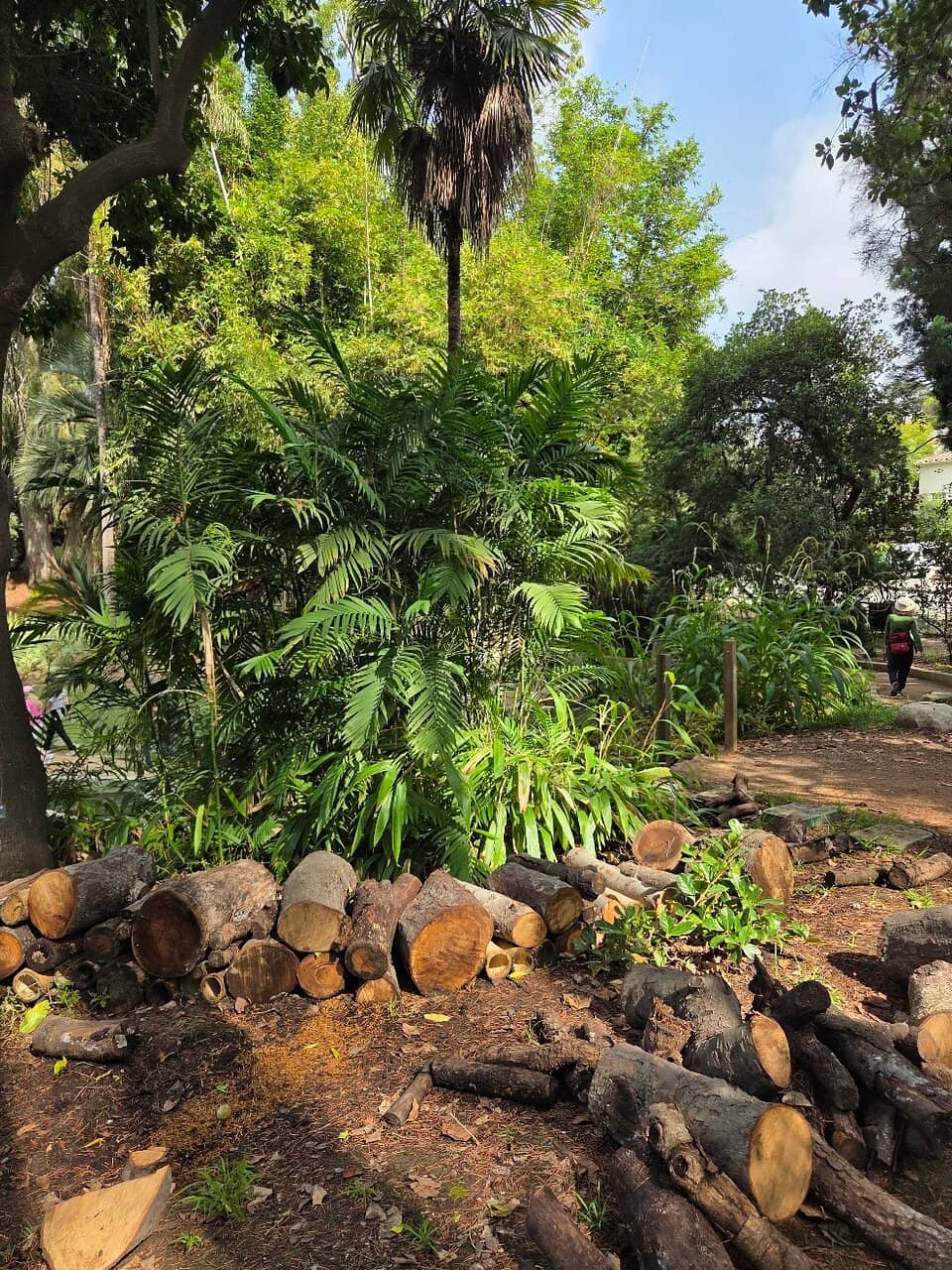 Kids' Discovery Garden