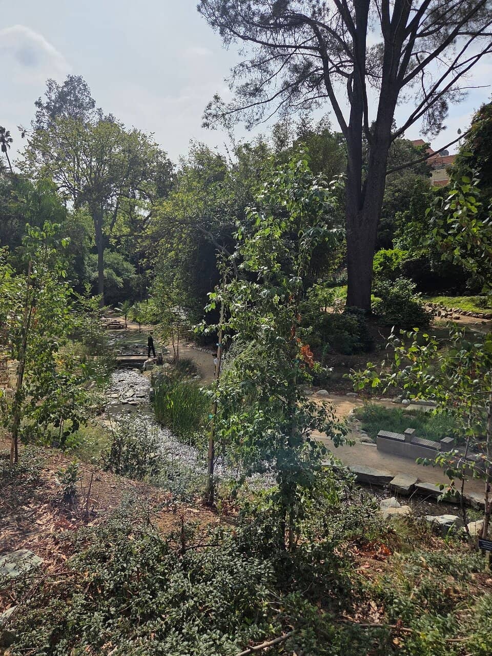 Koi Pond & Desert Area