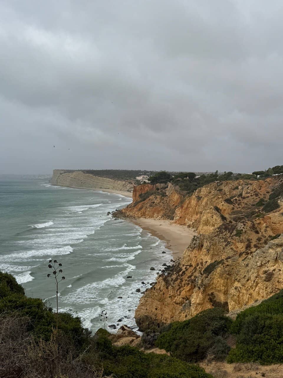 Dramatic Coastal Cliffs