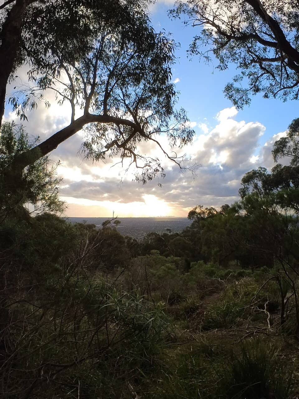 Puffing Billy Railway