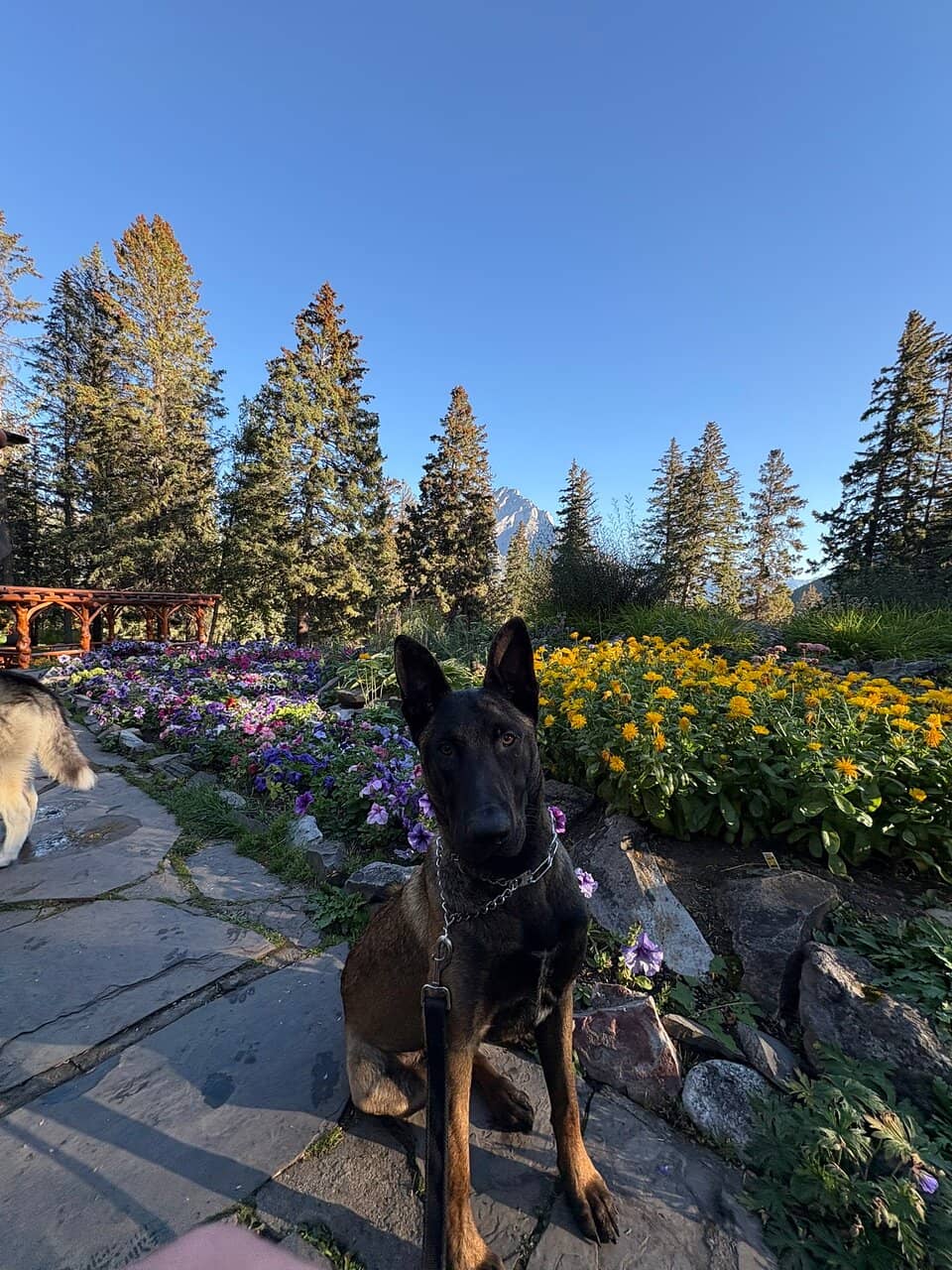 Terraced Garden Paths