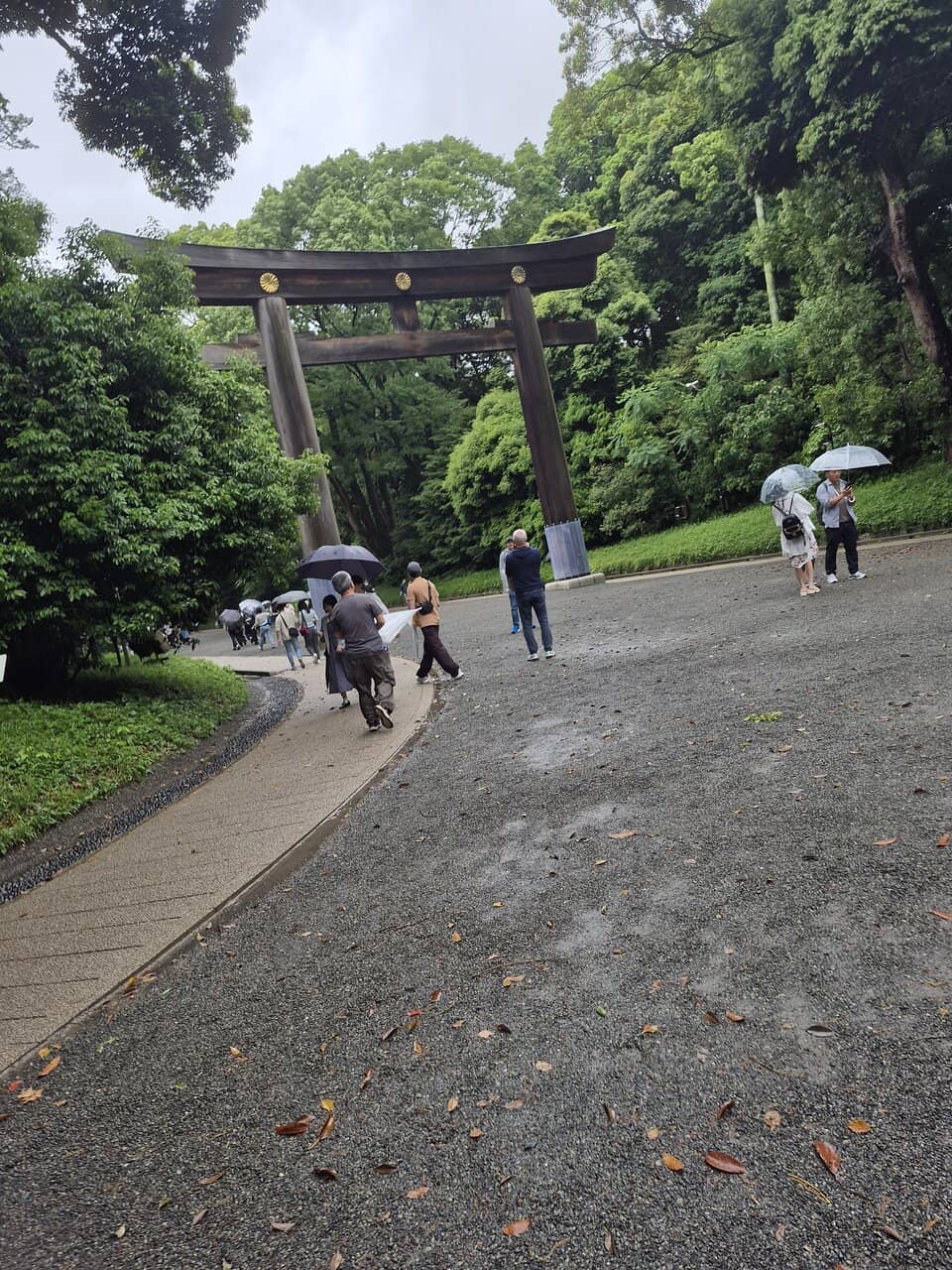 Enchanting Moss Gardens