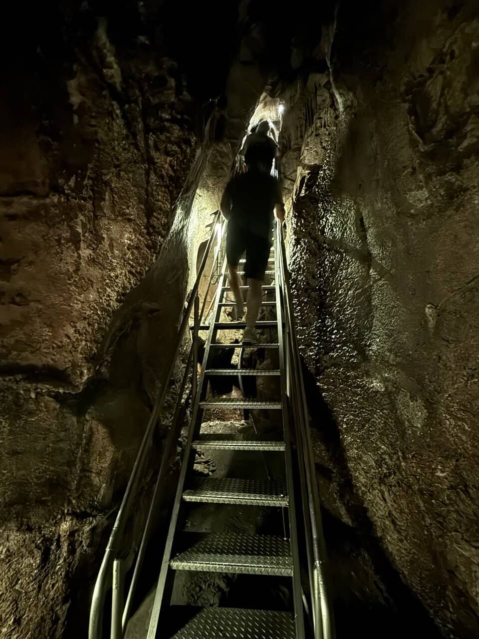 Vertical photo