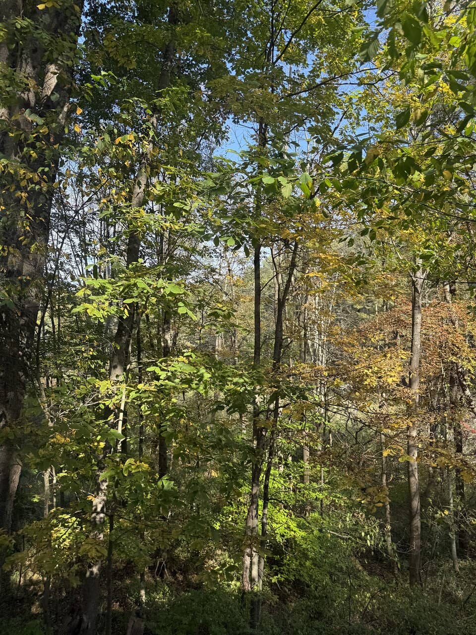Vertical photo
