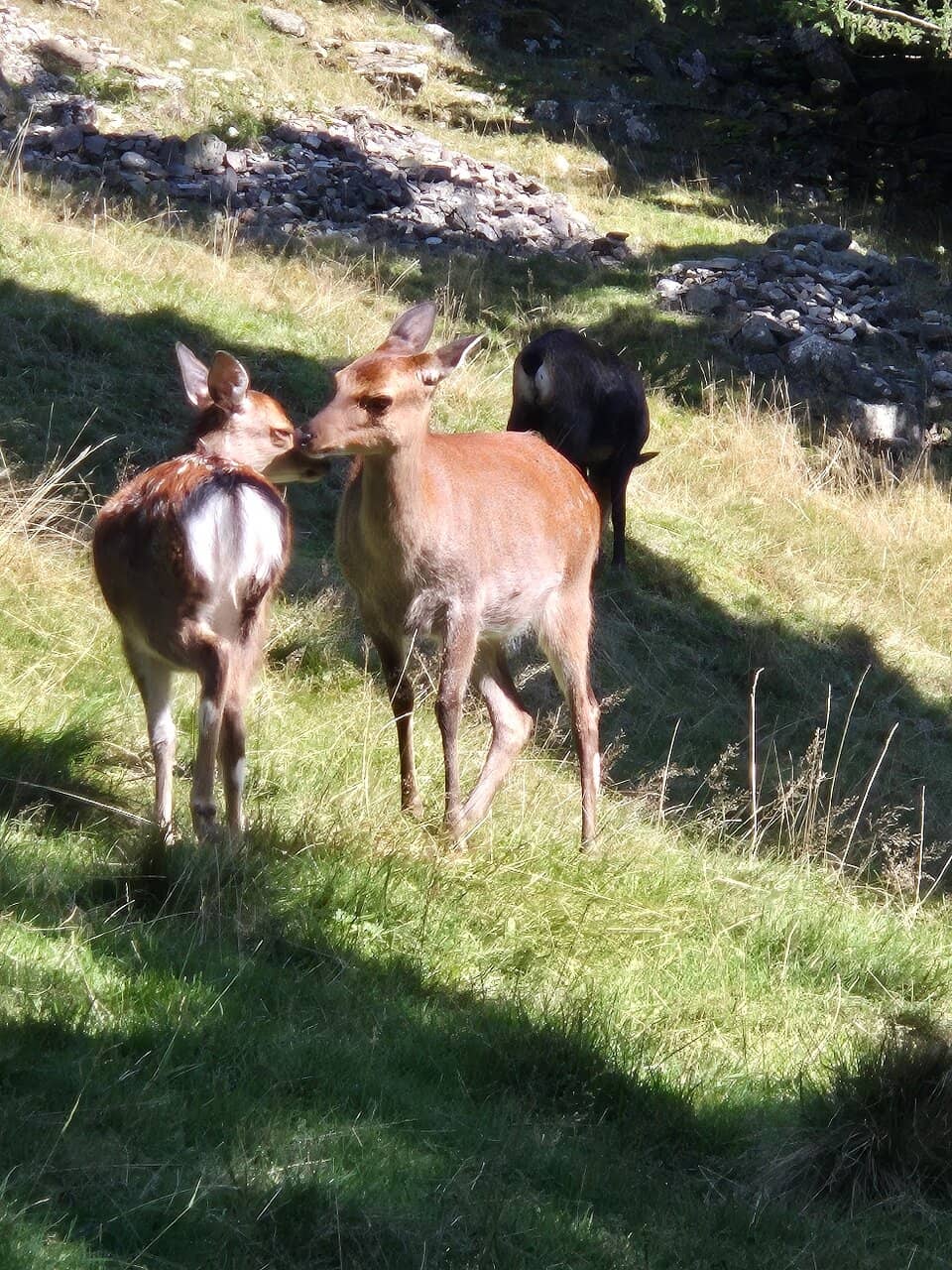 Stunning Mont Blanc Views