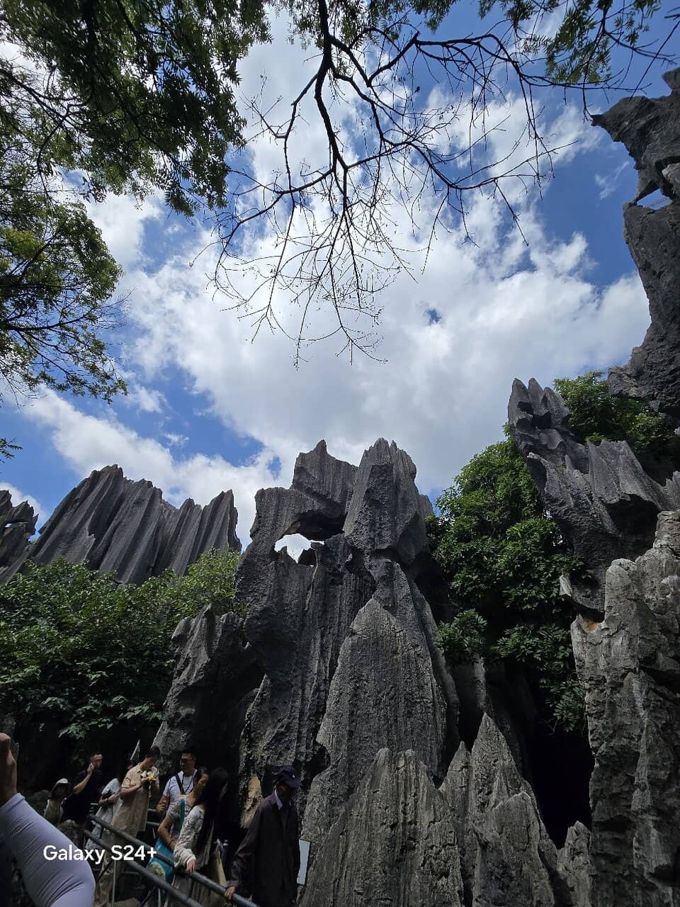 Vertical photo
