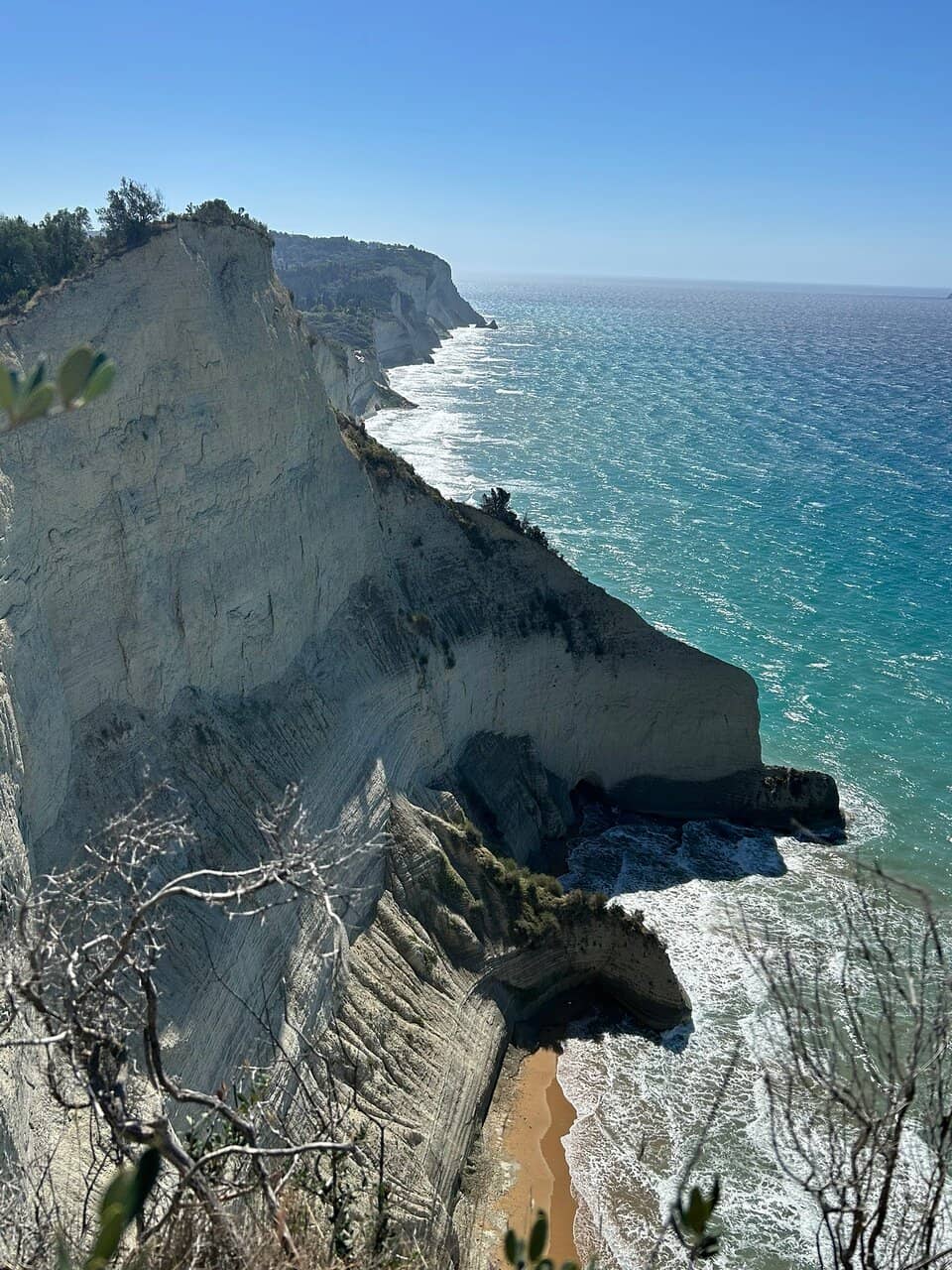 Vertical photo