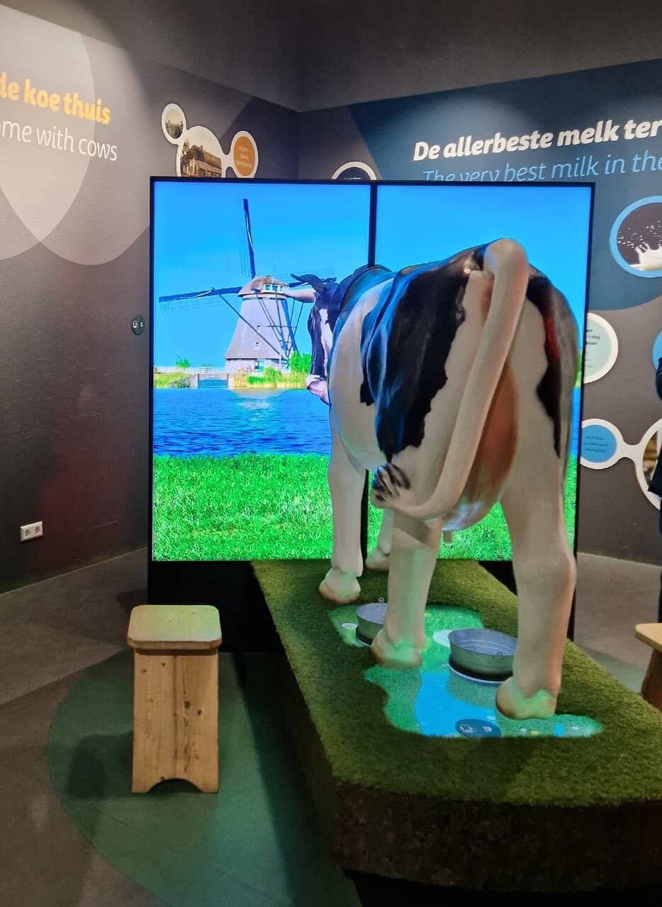 Gouda Cheese Experience