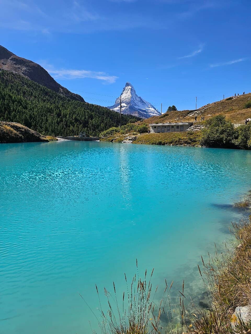 Vertical photo