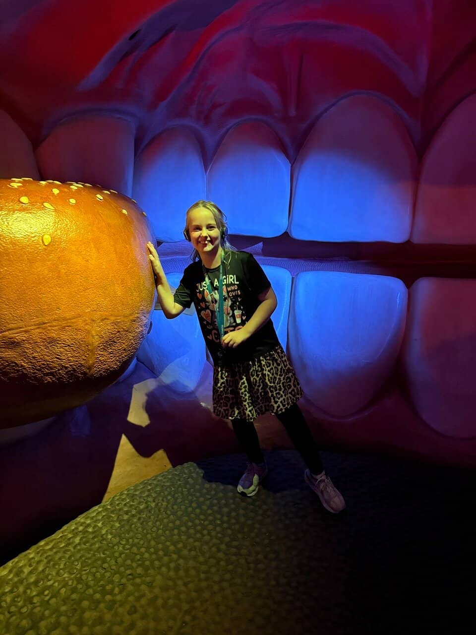 Interactive Discovery Zone