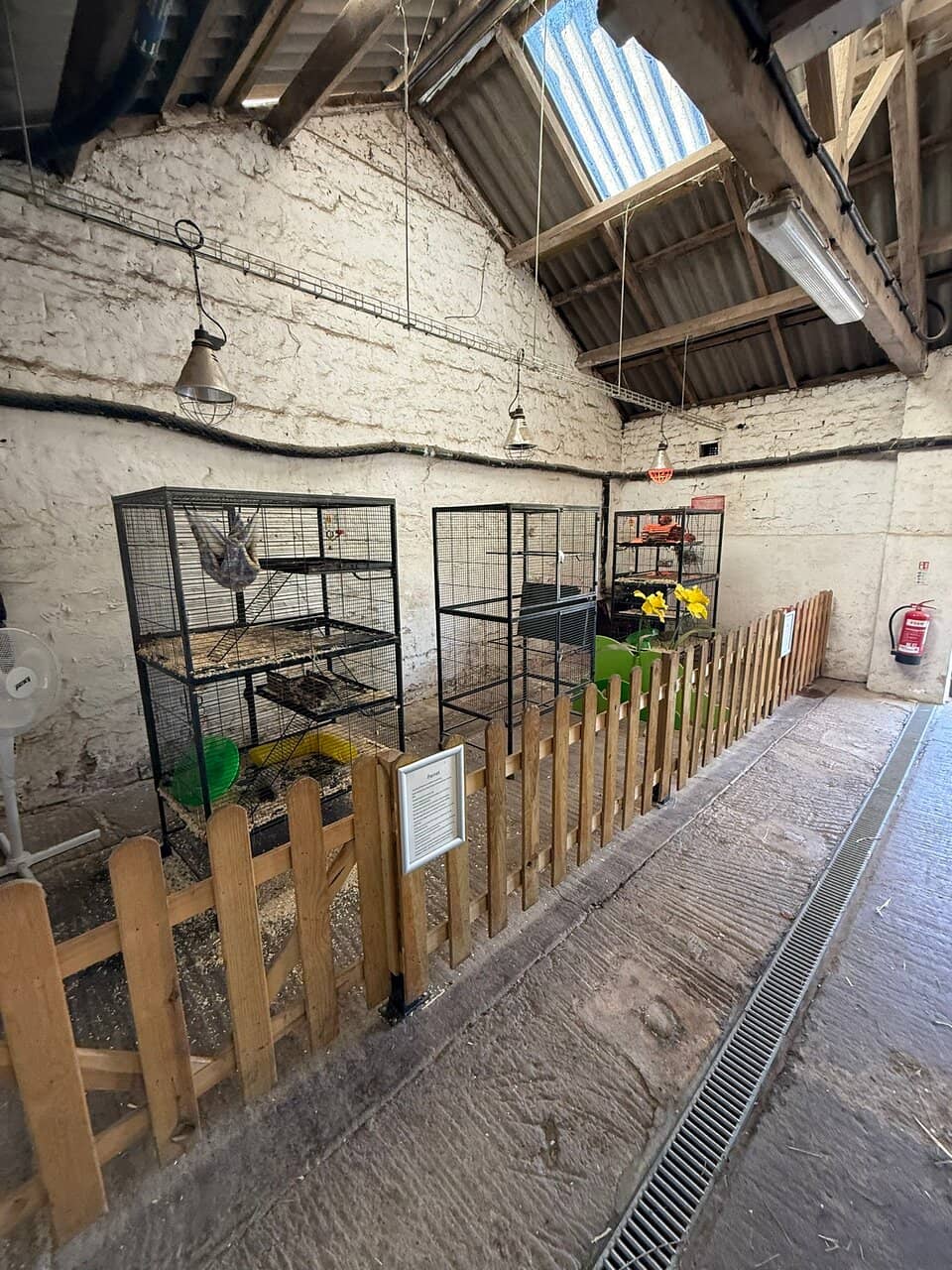 Adventure Zone & Play Areas