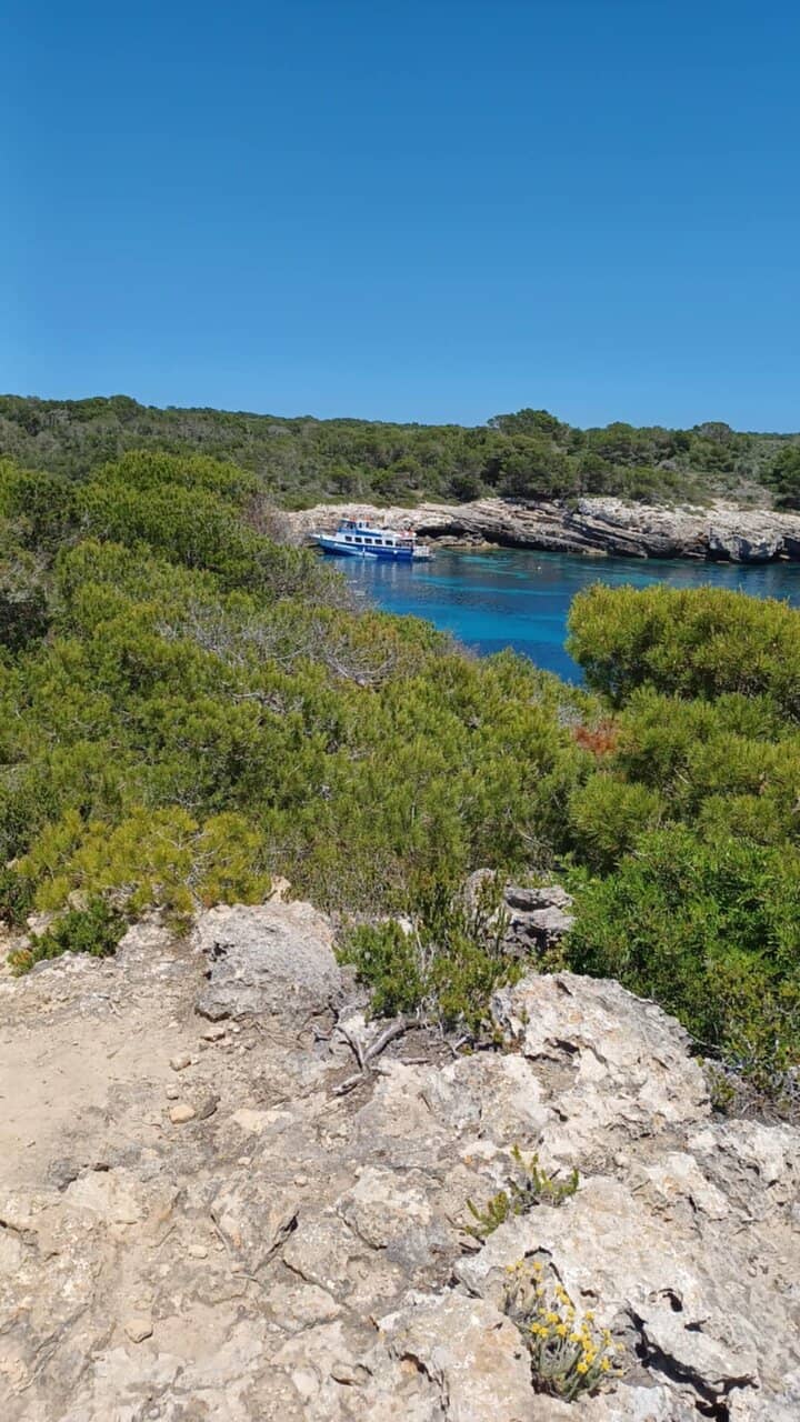 Turquoise Waters