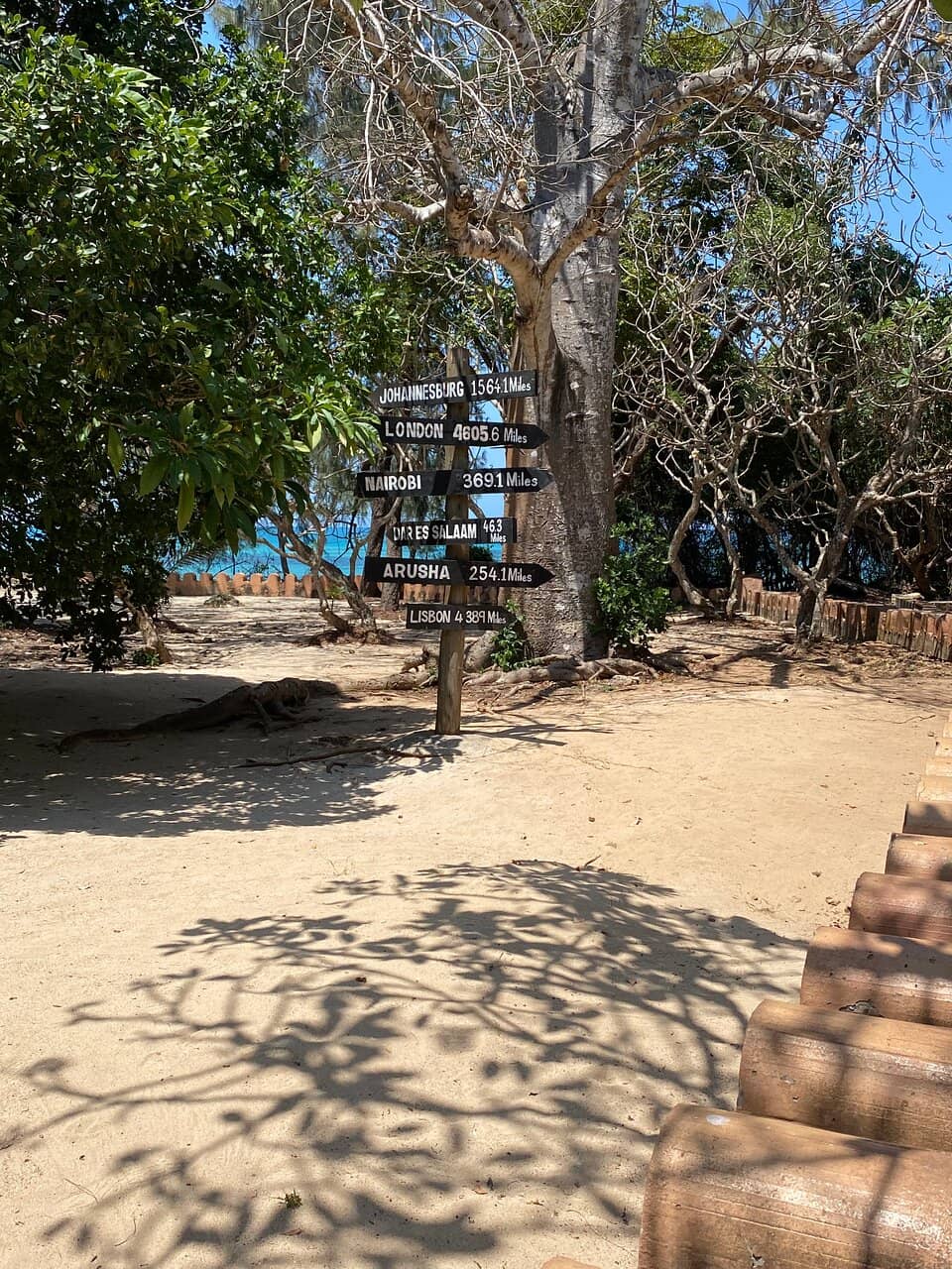 Giant Aldabra Tortoises