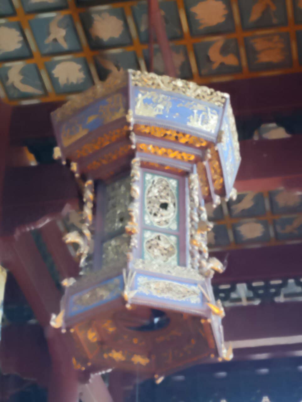 Vertical photo
