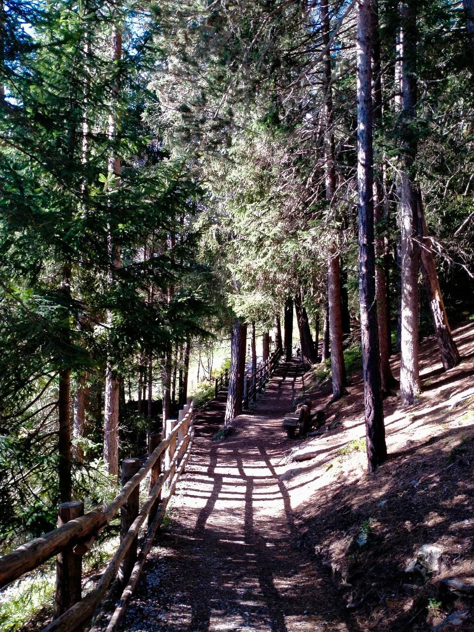 Vertical photo