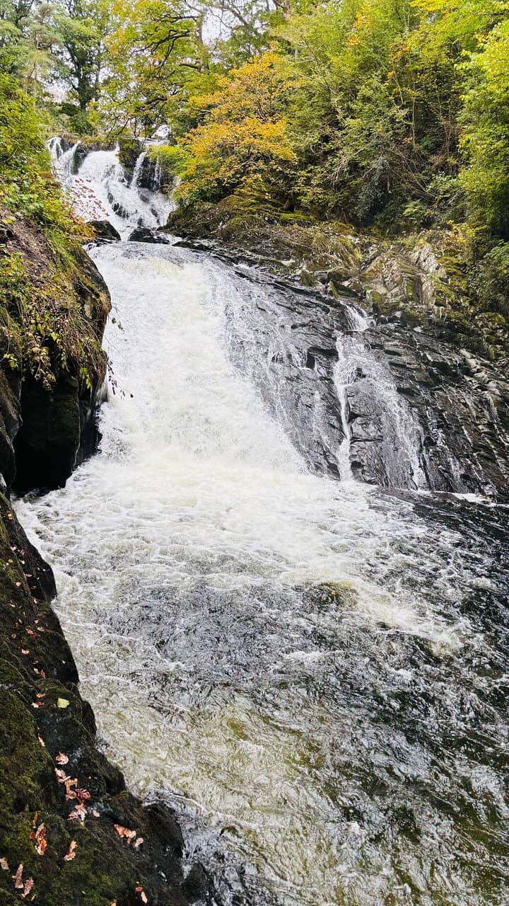 Vertical photo