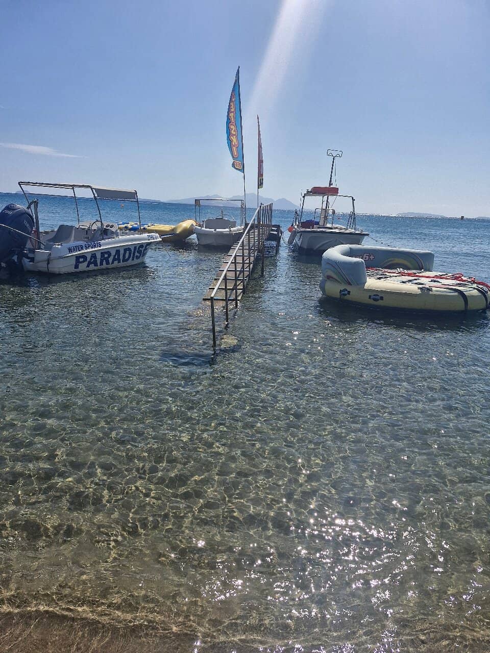 Sunrise Whale Watching