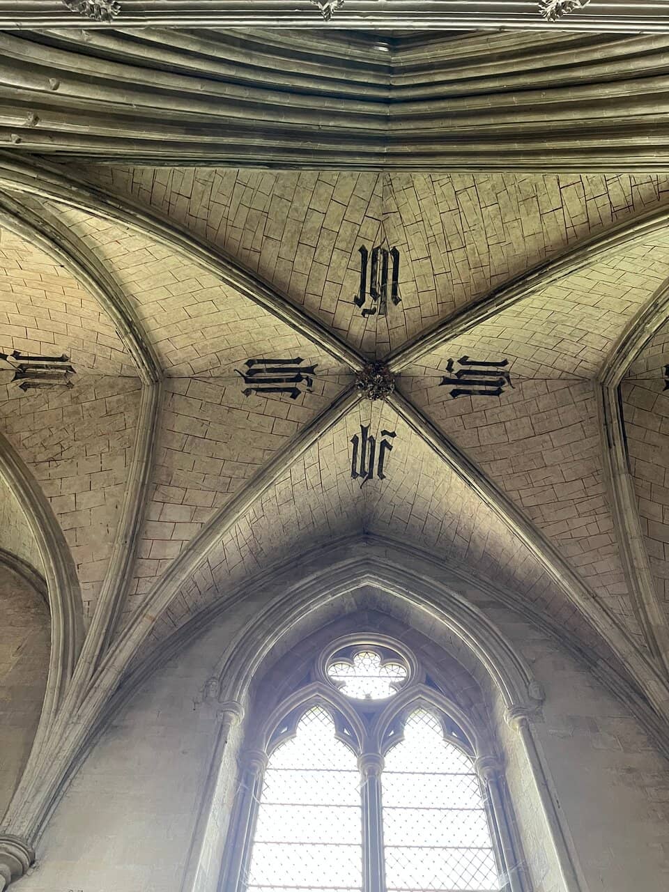 Vertical photo