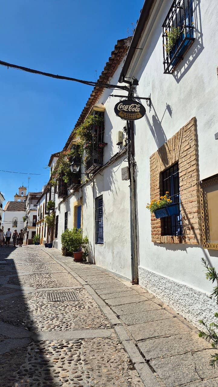 Exceptional Oxtail Stew