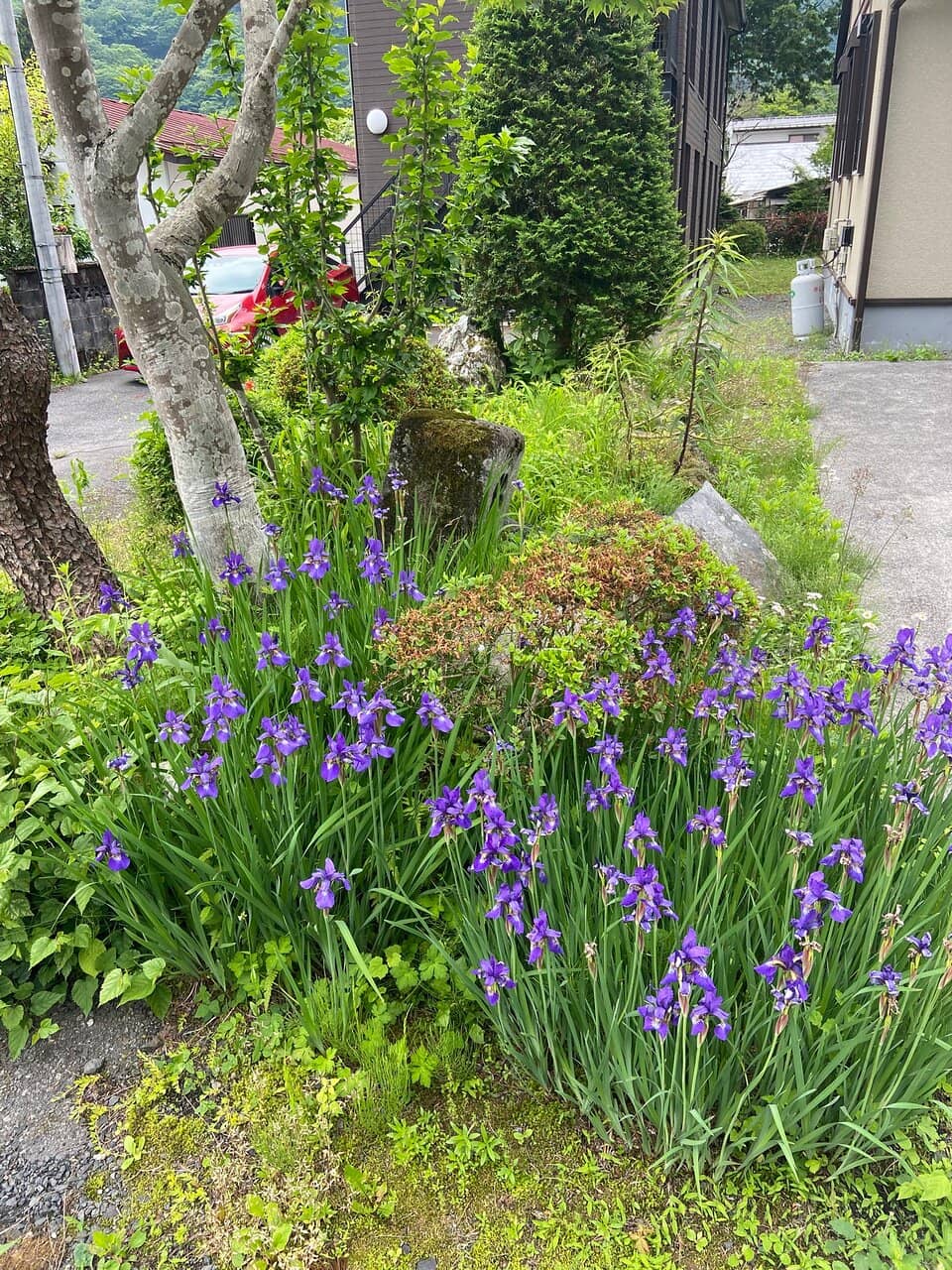 The Grand Wooden Architecture
