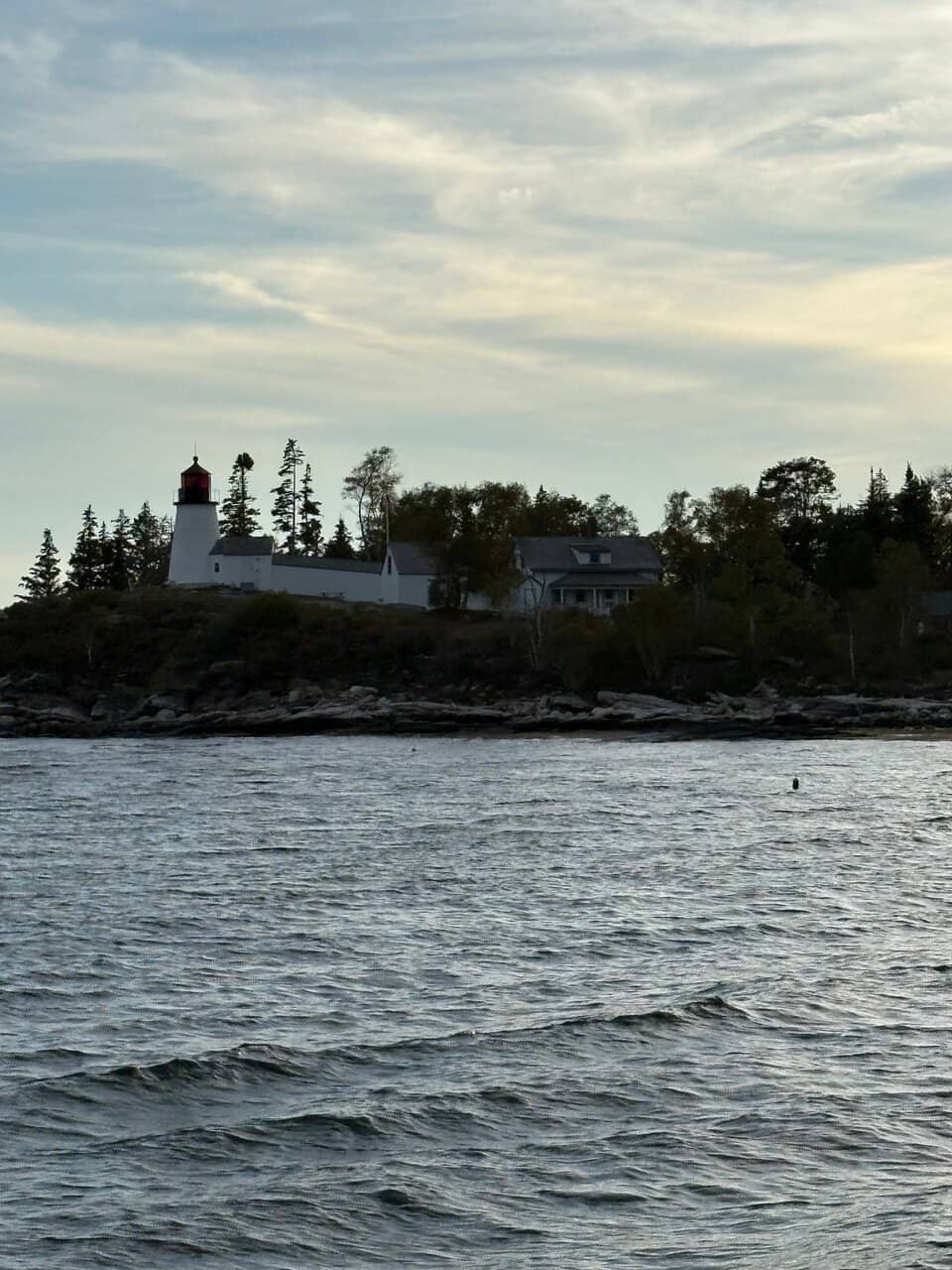 Knowledgeable & Friendly Crew