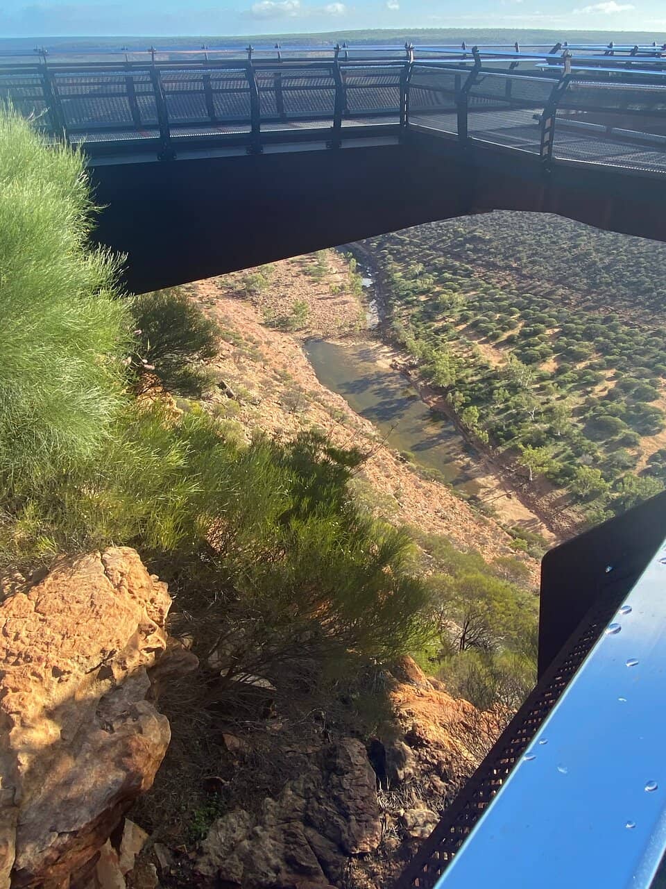 Nature's Window
