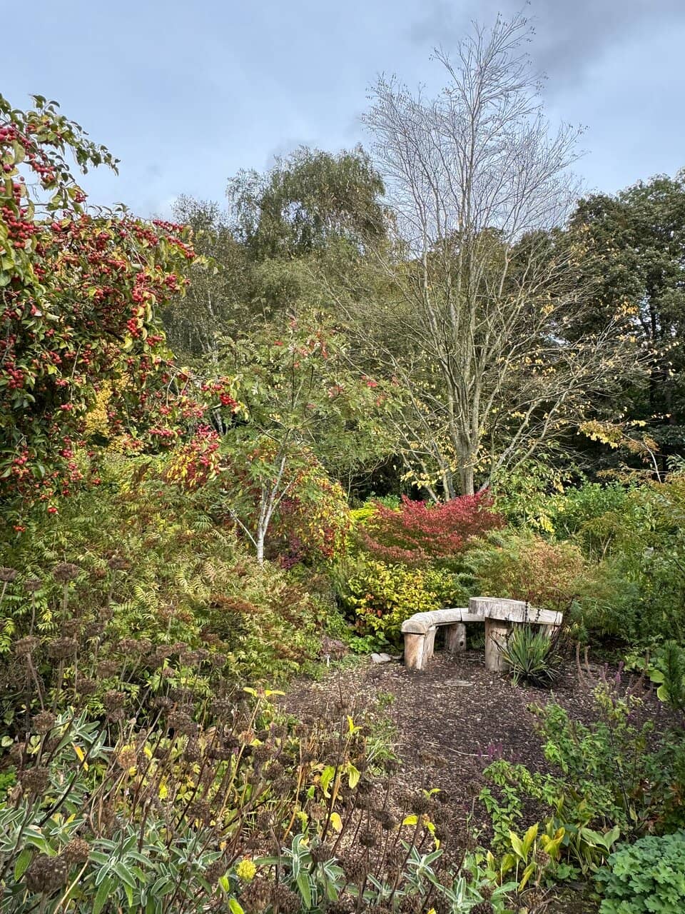 The Tea Rooms