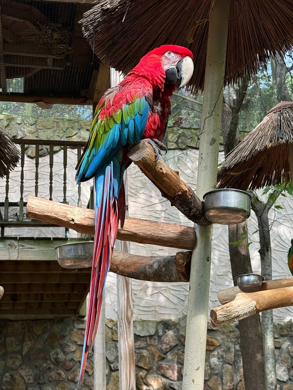 Vertical photo
