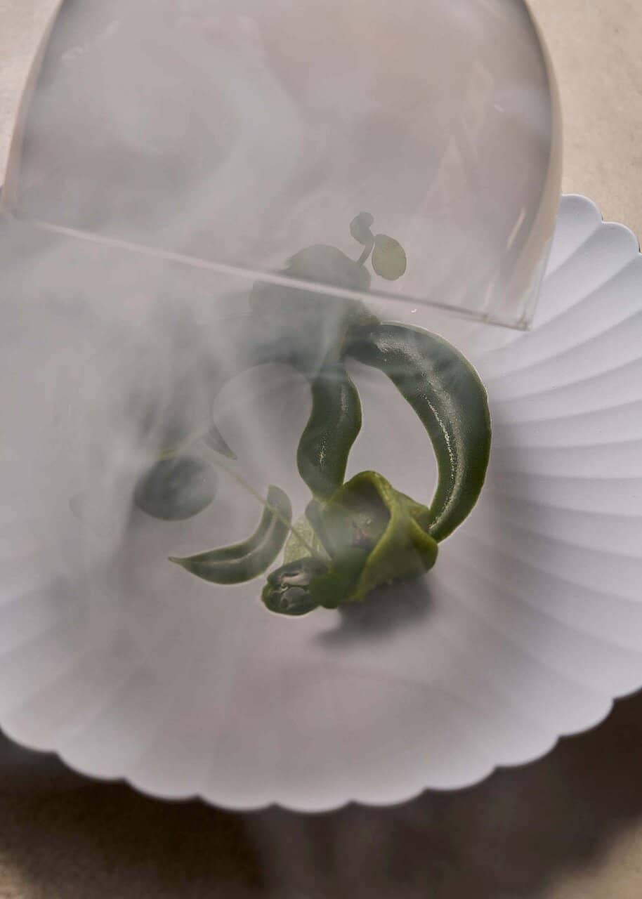 Vegetable-Forward Creations