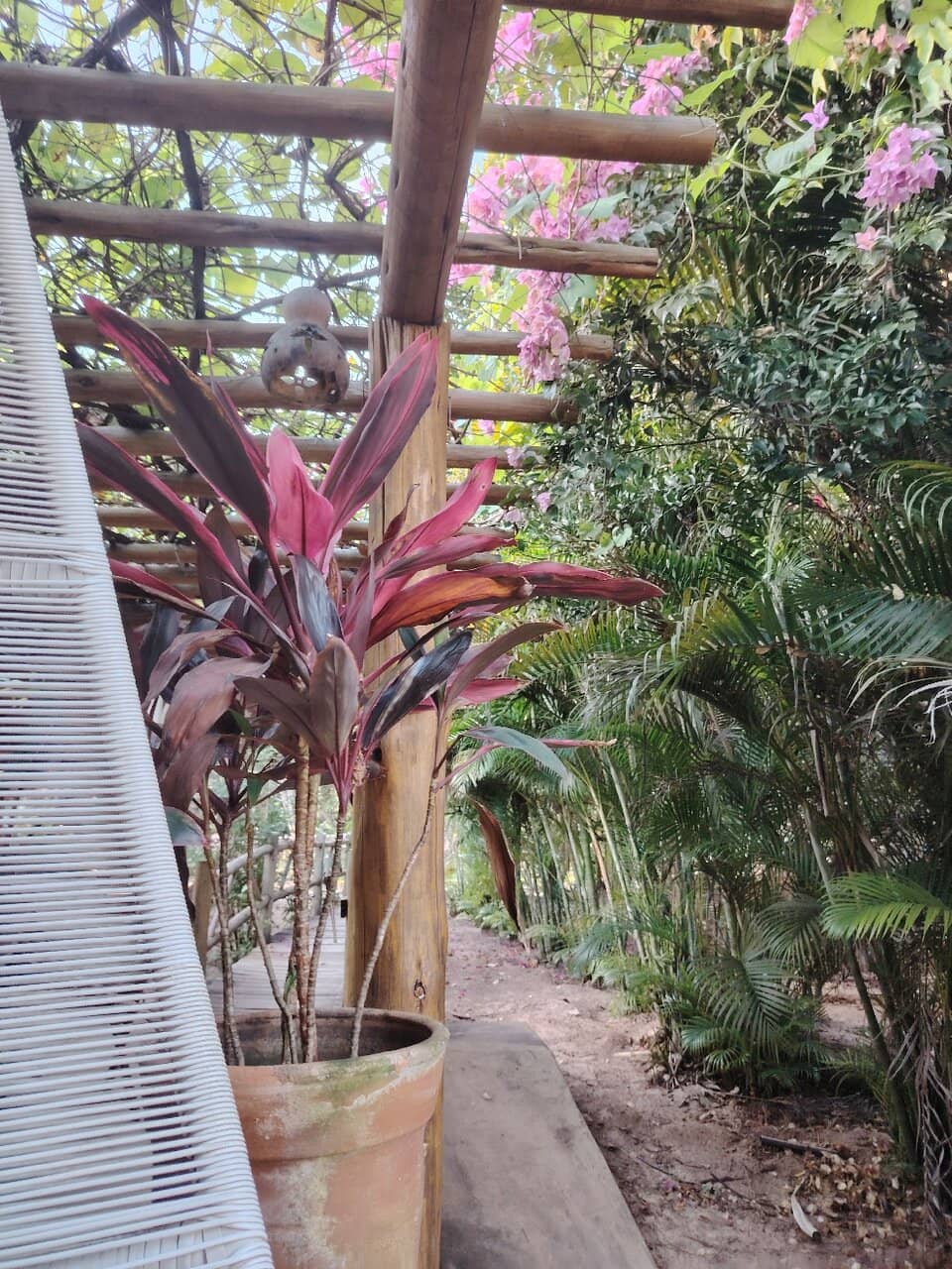 Exclusive Night Access