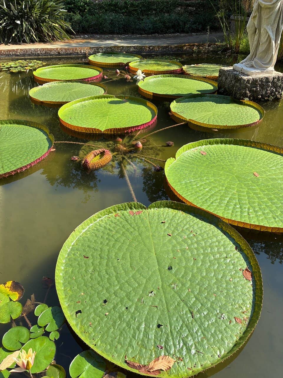 Terraced Landscapes