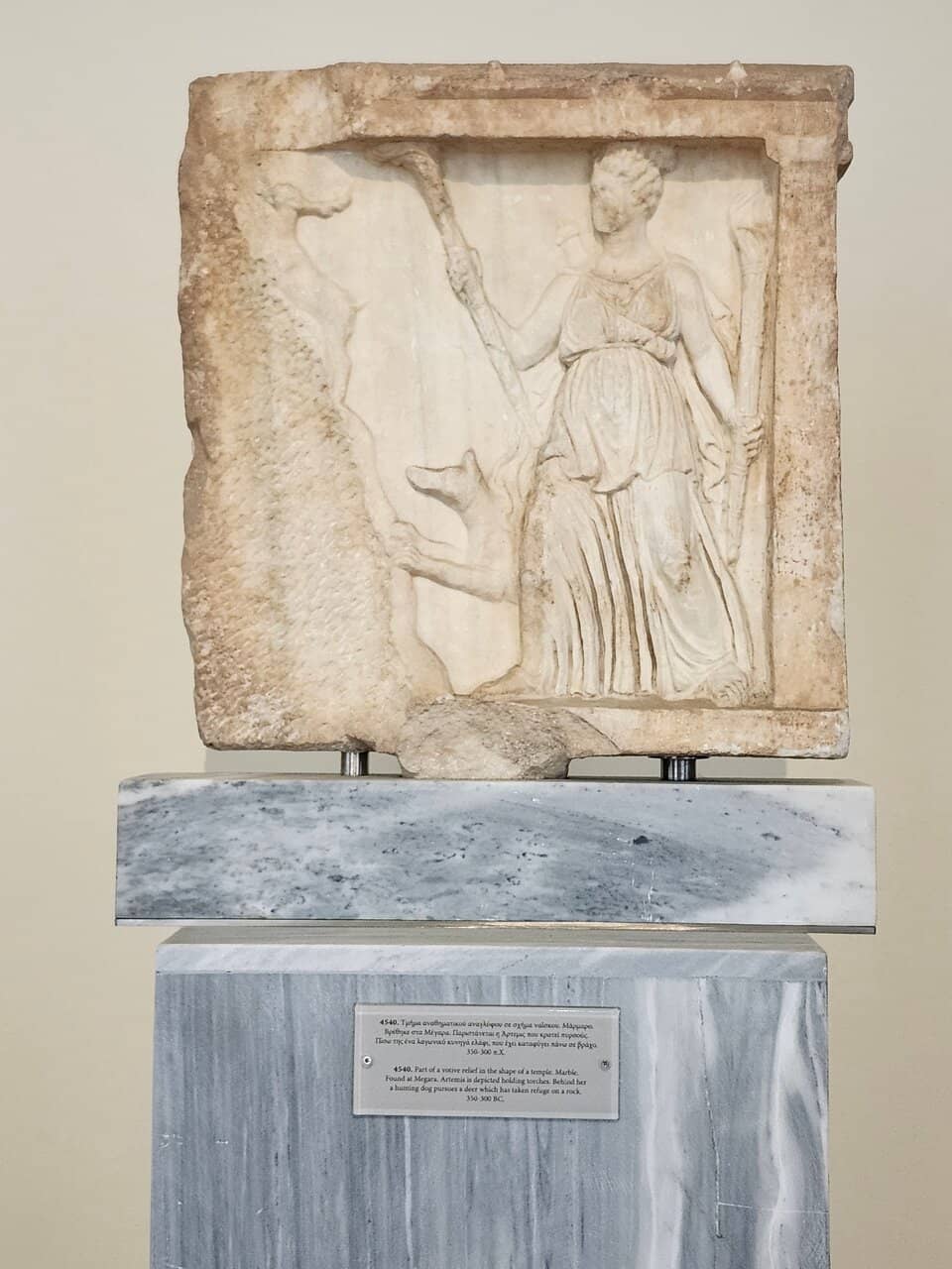 Helpful Staff Insights