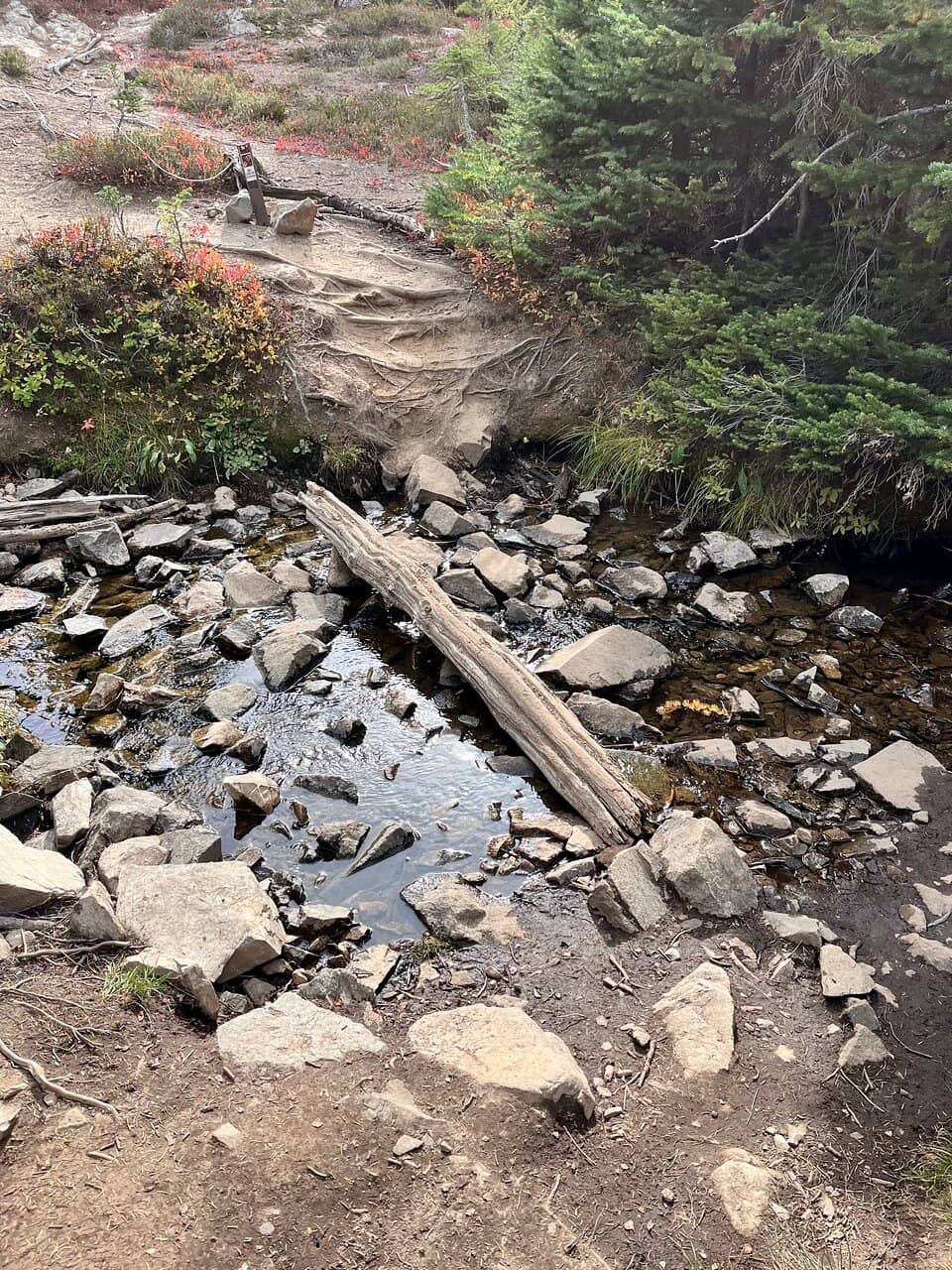 Tarn Loop Trail