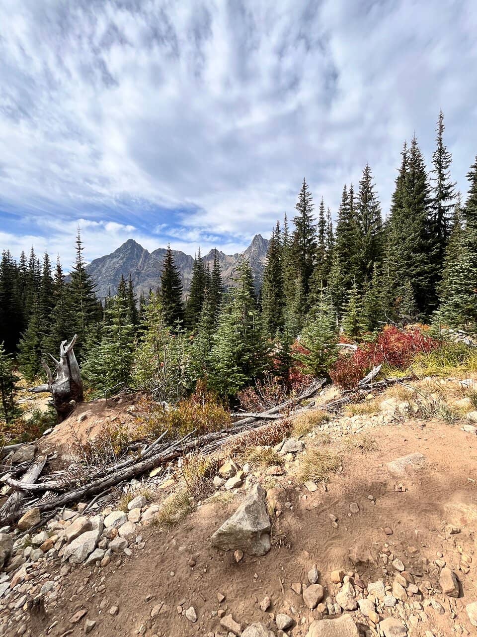 Mountain Goat Sightings