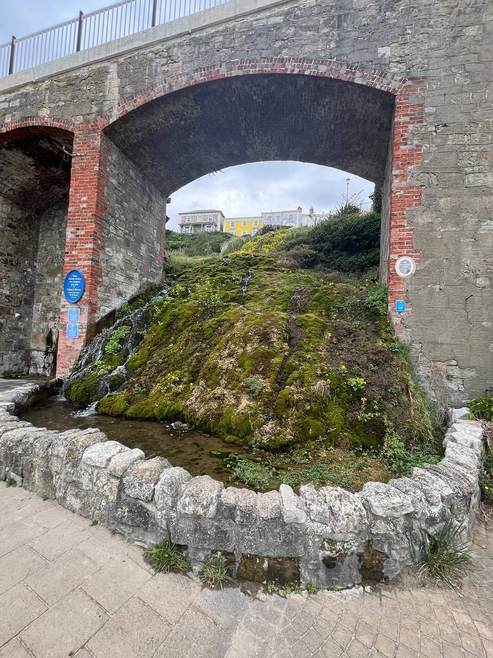 Vertical photo