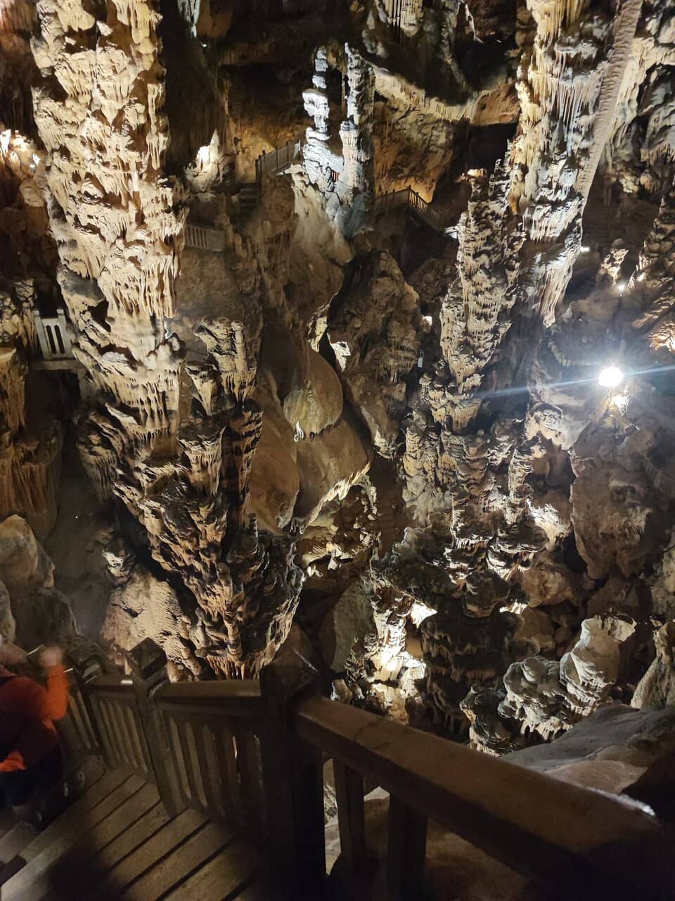 The 'Young Ladies' Formations