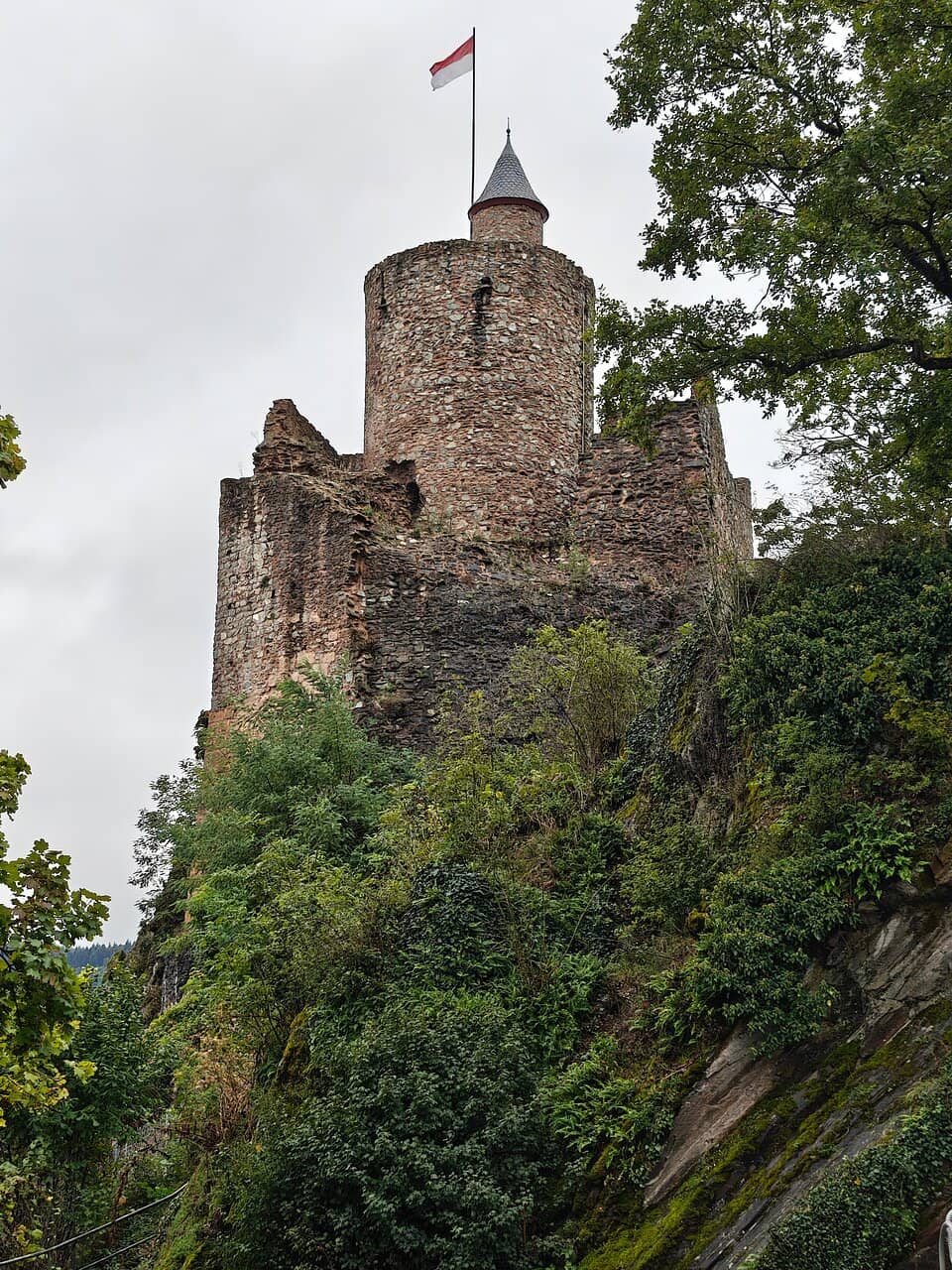 Vertical photo