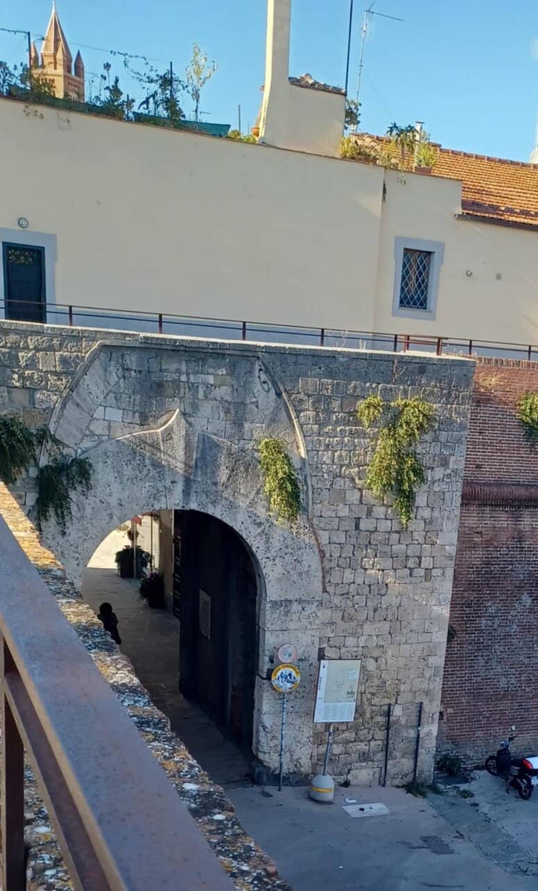 Vertical photo