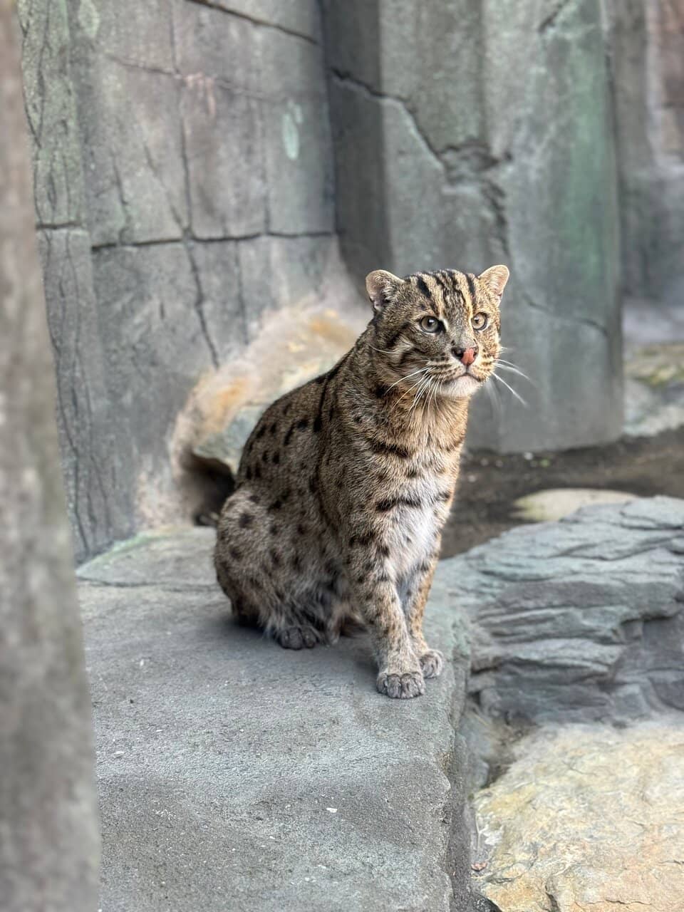 Shark & Ray Exhibits